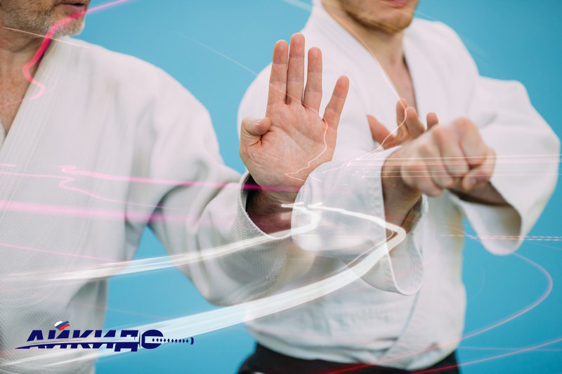 Southern_Federal_District_and_North_Caucasus_Federal_District_Aikido_Championship